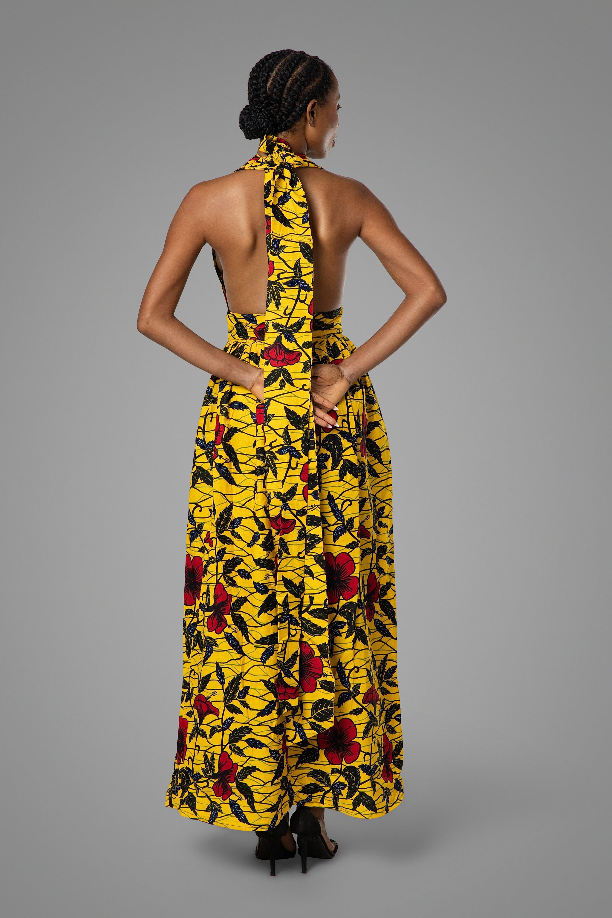 The Hibiscus Flower