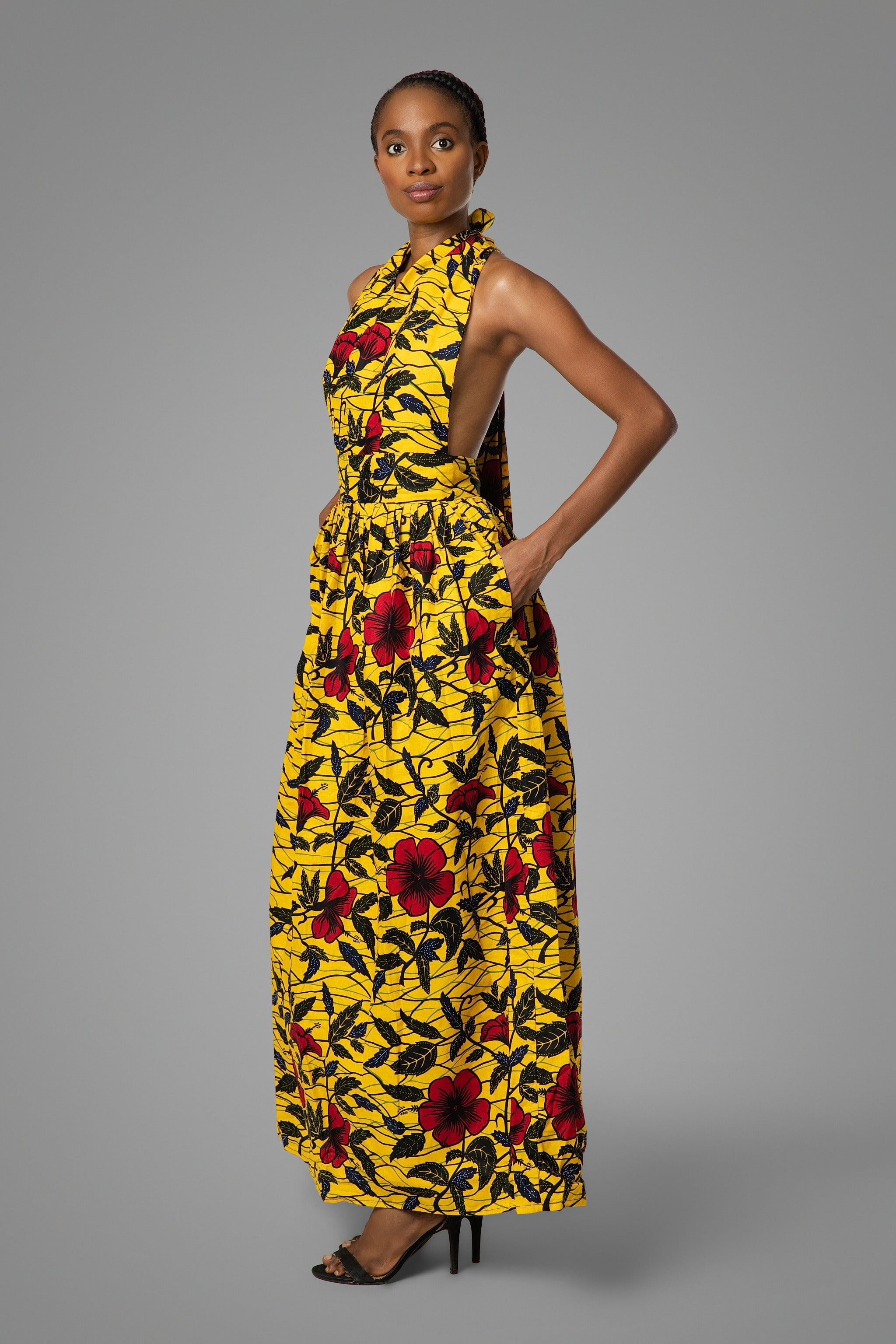 The Hibiscus Flower